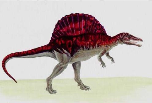 Spinosaurus 4