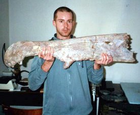 Spinosaurus skull